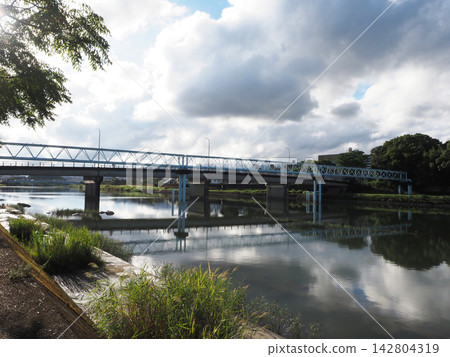 初秋的天空和鏡川（水道橋、柳原橋和神社樹林） 142804319