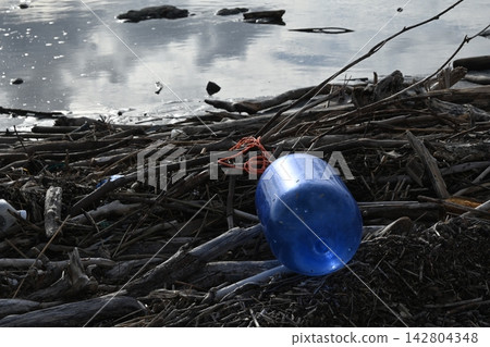 Blue buoys and a large amount of driftwood washed ashore on the beach Blue buoys and a large amount of driftwood washed ashore on the beach 142804348