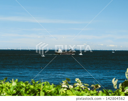 碧藍的大海綿延在綠樹之外,遠處船隻在近海航行,景色令人心曠神怡。 碧藍的大海綿延在綠樹之外,遠處船隻在近海航行,景色令人心曠神怡。 142804562