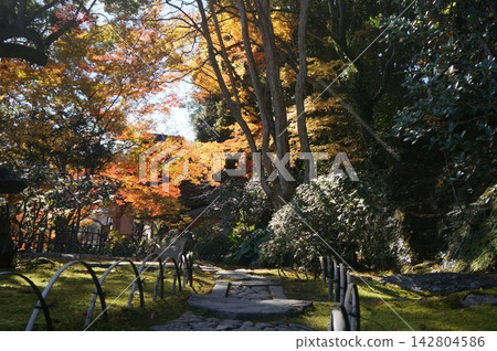Landscape with autumn leaves Landscape with autumn leaves 142804586