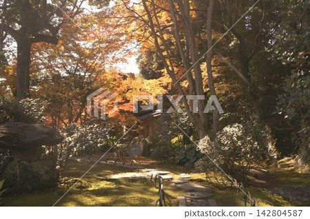 Autumnal leaves garden landscape Autumnal leaves garden landscape 142804587