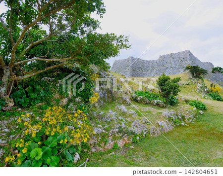 冬天的沖繩:中城城遺址 冬天的沖繩:中城城遺址 142804651