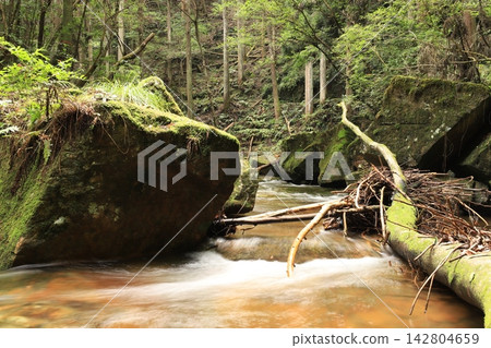 Clear current flowing through the forest Clear current flowing through the forest 142804659