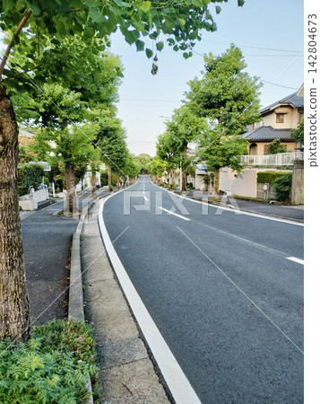 道路和城市景觀 道路和城市景觀 142804673