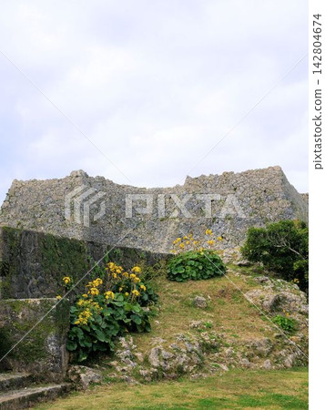 沖繩的冬天:中城城遺址、馬場和三之克魯瓦(第三圍) 沖繩的冬天:中城城遺址、馬場和三之克魯瓦(第三圍) 142804674