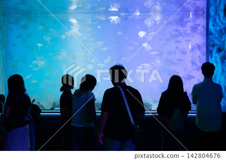 Aquarium visitors enjoy the fantastical jellyfish exhibit. 142804676