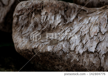 Close up of a weathered rock with layered flaky mineral surfaces, rough earthy texture, deep cracks and organic detail, creating the abstract geological background with rich tactile appeal for design. Close up of a weathered rock with layered flaky mineral surfaces, rough earthy texture, deep cracks and organic detail, creating the abstract geological background with rich tactile appeal for design. 142804776