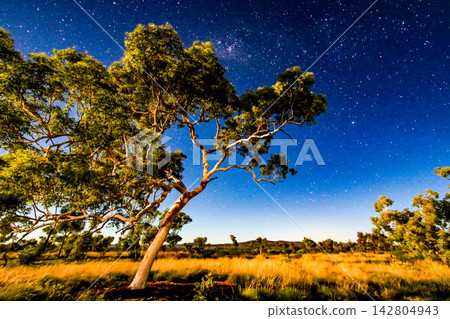 View of a star filled night sky above the rugged landscape of Karijini National Park in the Pilbara region of Western Australia, showing the remote natural environment beneath a clear dark sky. 142804943