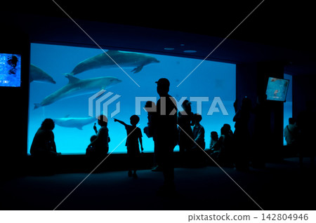 A fantastical scene of a blue aquarium and human silhouettes. A fantastical scene of a blue aquarium and human silhouettes. 142804946