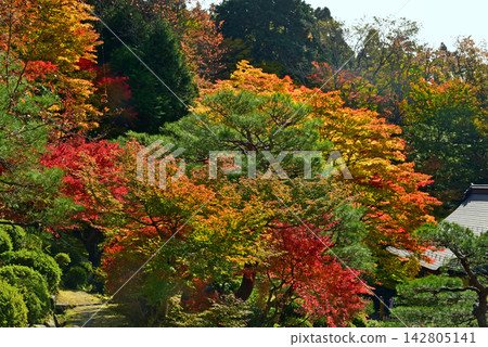 Hyakusaiji Temple surrounded by autumn leaves Hyakusaiji Temple surrounded by autumn leaves 142805141