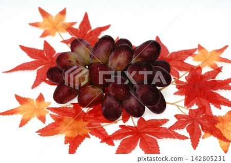Grapes, Shinkou variety, from Shimane Prefecture. Grapes, Shinkou variety, from Shimane Prefecture. 142805231