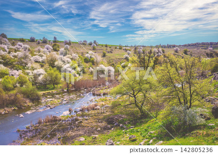 Rocky riverbank. Mountain landscape. View of mountain river and valley with blossoming trees in early spring. Nature landscape Rocky riverbank. Mountain landscape. View of mountain river and valley with blossoming trees in early spring. Nature landscape 142805236