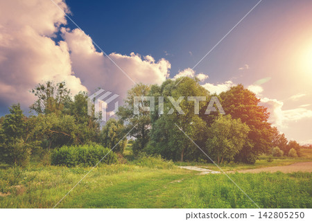 Rural landscape with the dramatic cloudy evening sky 142805250