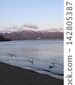 Sunset view overlooking Lake Inawashiro and Mount Bandai, and swans. 142805387
