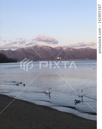 俯瞰豬苗代湖、磐梯山和天鵝的日落景色。 俯瞰豬苗代湖、磐梯山和天鵝的日落景色。 142805387
