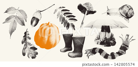 Halftone monochrome autumn stipple elements set. Distressed fall leaves, pumpkin, mushroom, acorn and rubber boots. Grunge gritty stickers for y2k collage design. Retro photocopy vector illustration Halftone monochrome autumn stipple elements set. Distressed fall leaves, pumpkin, mushroom, acorn and rubber boots. Grunge gritty stickers for y2k collage design. Retro photocopy vector illustration 142805574
