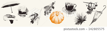 Autumn halftone monochrome stipple elements set with oak and maple leaves, umbrellas and pumpkin. Grunge punk dotted stickers for y2k collage. Retro photocopy grainy vector illustration isolated Autumn halftone monochrome stipple elements set with oak and maple leaves, umbrellas and pumpkin. Grunge punk dotted stickers for y2k collage. Retro photocopy grainy vector illustration isolated 142805575