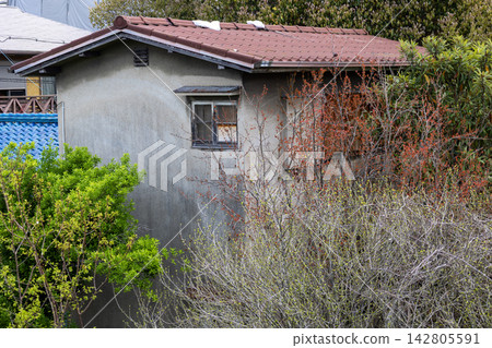 An old, abandoned house with mortar walls, surrounded by overgrown trees. An old, abandoned house with mortar walls, surrounded by overgrown trees. 142805591