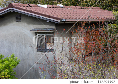 An old, abandoned house with mortar walls, surrounded by overgrown trees. An old, abandoned house with mortar walls, surrounded by overgrown trees. 142805592