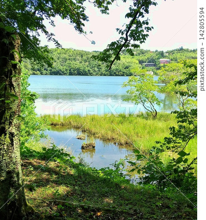 伊佩基湖，一片翠綠的夏日遺跡。 142805594
