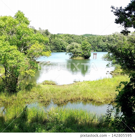 伊佩基湖,一片翠綠的夏日遺跡。 伊佩基湖,一片翠綠的夏日遺跡。 142805595
