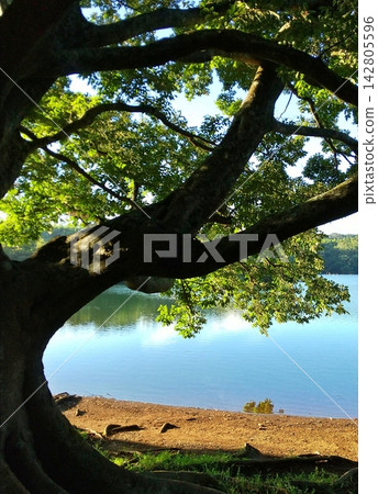 伊佩基湖,夏日遺跡 伊佩基湖,夏日遺跡 142805596