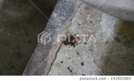 Detailed shot of a weathered concrete surface showing rust and cracks for industrial or construction themes Detailed shot of a weathered concrete surface showing rust and cracks for industrial or construction themes 142805869