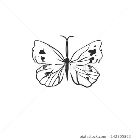 Hand Drawn Butterfly with Open Wings Line Art Vector Illustration, Elegant Black and White Insect for Tattoo, Feminine Fashion Print, Logo, Poster, Nature and Decorative Design 142805893