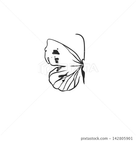 Hand Drawn Butterfly Side View Line Art Vector Illustration, Elegant Black and White Insect with Delicate Wings for Tattoo, Feminine Fashion Print, Logo, Poster and Nature Design 142805901