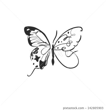 Hand Drawn Butterfly Line Art Vector Illustration, Artistic Insect with Decorative Asymmetric Wings for Tattoo, Fashion Print, Feminine Boho Design, Logo, Beauty and Nature Decor Hand Drawn Butterfly Line Art Vector Illustration, Artistic Insect with Decorative Asymmetric Wings for Tattoo, Fashion Print, Feminine Boho Design, Logo, Beauty and Nature Decor 142805903
