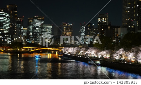 夜晚,河岸上櫻花盛開,燈光璀璨。 夜晚,河岸上櫻花盛開,燈光璀璨。 142805915