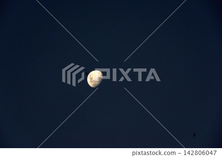 Waning Gibbous Moon in Dark Blue Night Sky with Birds Waning Gibbous Moon in Dark Blue Night Sky with Birds 142806047