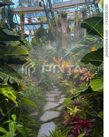 Stone path through a misty tropical conservatory Stone path through a misty tropical conservatory 142806380