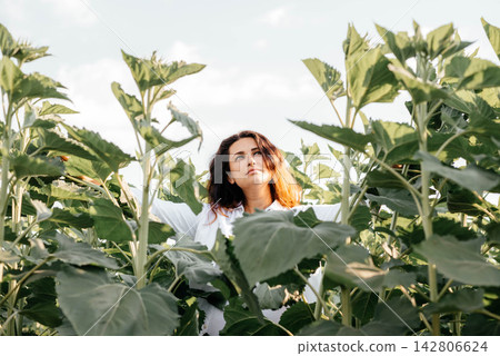 Medium shot of a beautiful dark-haired woman in a white shirt standing amidst lush green sunflower plants in a field and looking thoughtfully upward. Concept of nature connection, freedom, peace Medium shot of a beautiful dark-haired woman in a white shirt standing amidst lush green sunflower plants in a field and looking thoughtfully upward. Concept of nature connection, freedom, peace 142806624