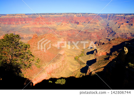 Grand Canyon Arizona Grand Canyon Arizona 142806744