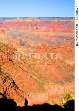 Grand Canyon Arizona Grand Canyon Arizona 142806746
