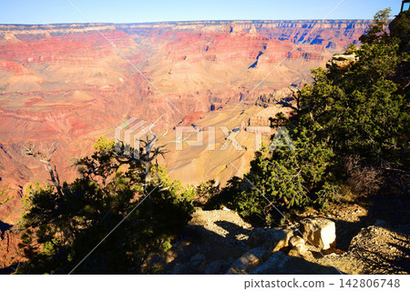 Grand Canyon Arizona Grand Canyon Arizona 142806748