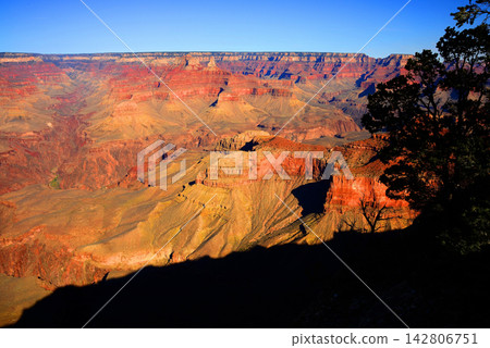 Grand Canyon Arizona Grand Canyon Arizona 142806751