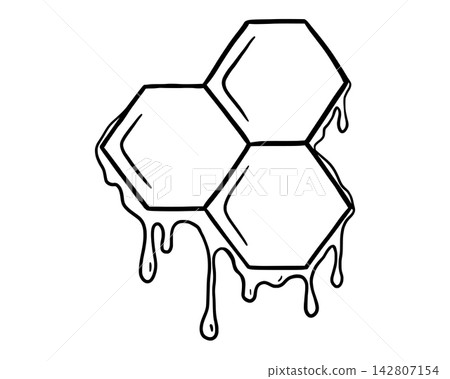 Bee honeycomb pattern with hexagonal cells and flowing honey. Vector sketch of natural beehive structure. Black outline doodle on white background for organic branding. 142807154