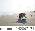 巴哥犬在海灘上玩耍 142807171