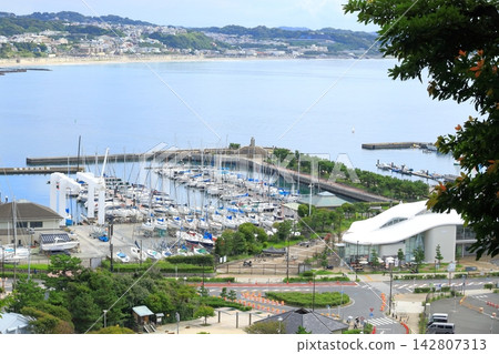 View of Enoshima Yacht Harbor from the stairs at Nakatsumiya Square, Enoshima View of Enoshima Yacht Harbor from the stairs at Nakatsumiya Square, Enoshima 142807313
