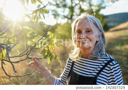 Senior woman enjoying gentle outdoor activity and connection with nature. Senior woman enjoying gentle outdoor activity and connection with nature. 142807329