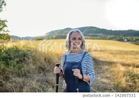 Active older woman enjoying peaceful walk through countryside in golden sunlight. 142807331