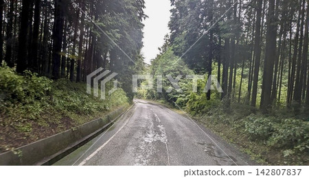 一條山路繼續穿過一片被雨水浸透的森林。 142807837
