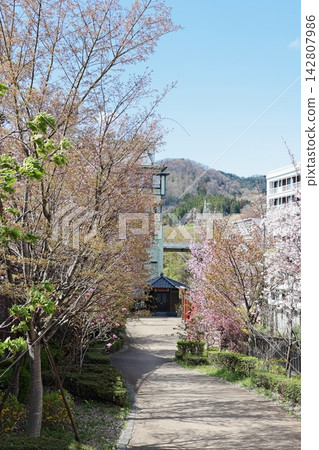 飯坂溫泉虎來湯公園(福島縣福島市) 飯坂溫泉虎來湯公園(福島縣福島市) 142807986