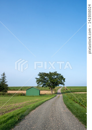 綠樹成蔭,綠色的小屋矗立在一條穿過綠色農田的碎石路旁。 綠樹成蔭,綠色的小屋矗立在一條穿過綠色農田的碎石路旁。 142808024
