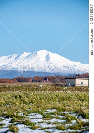 初冬晴朗的一天，落葉松林泛黃，雪山皚皚：大雪山 142808027