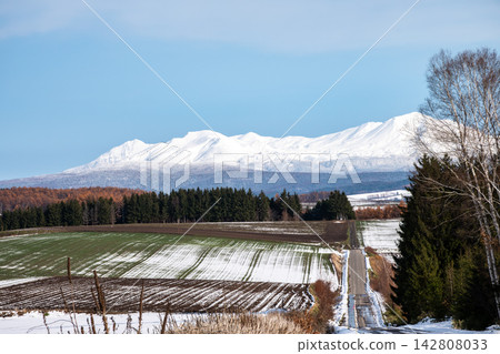 白雪覆蓋的綠色田野和白雪皚皚的大雪山山脈。 白雪覆蓋的綠色田野和白雪皚皚的大雪山山脈。 142808033