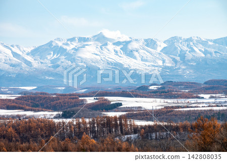 Snow-covered fields surrounded by golden larch forests and the snow-capped peaks of the volcano, Mount Tokachi. Snow-covered fields surrounded by golden larch forests and the snow-capped peaks of the volcano, Mount Tokachi. 142808035