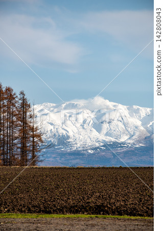 Early winter fields stand amidst a larch forest with its golden leaves, and the summit of Mount Tokachi rises above the volcano. Early winter fields stand amidst a larch forest with its golden leaves, and the summit of Mount Tokachi rises above the volcano. 142808043